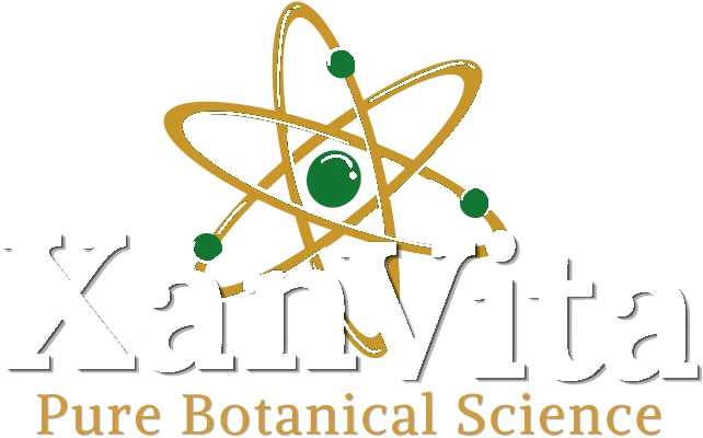 Xan Vita